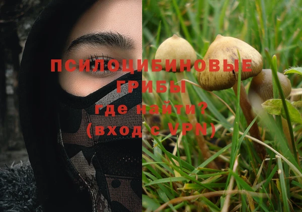 мдпв Абаза