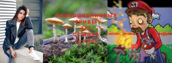 соль ск Алексеевка